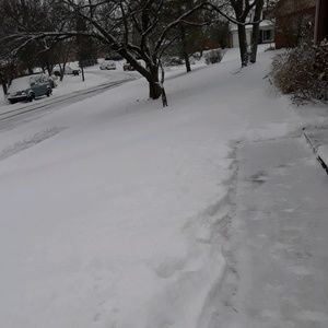 Meet your Posher, Darbin